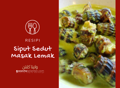 Resipi Siput Sedut Masak Lemak