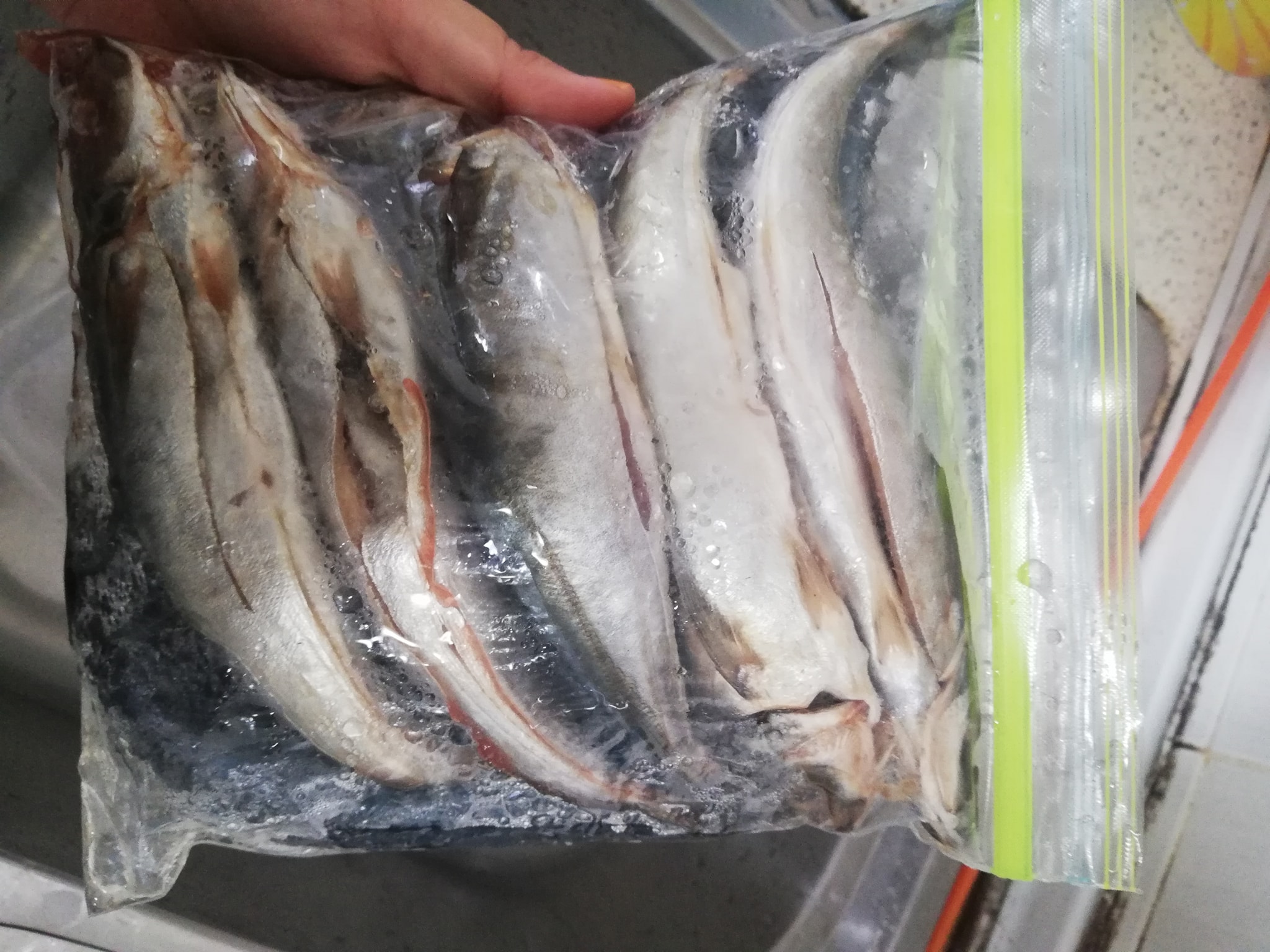 Tips Simpan Bahan Basah Supaya Tahan Lama - Wanita Kelantan