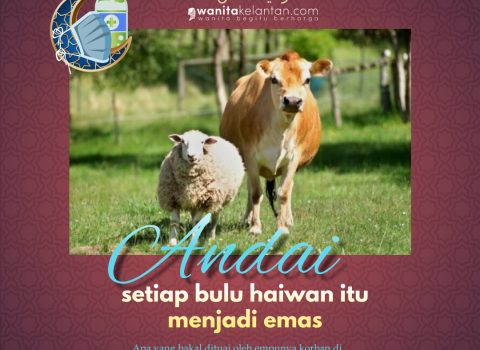 Andai Setiap Bulu Haiwan Itu Bertukar Menjadi Emas