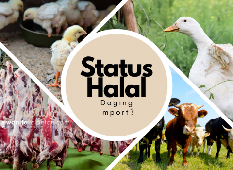 Daging Import, SOP Halal Longgar?