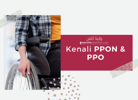 Kenali Penyelaras Pembangunan OKU Negeri (PPON), Penyelaras Parlimen OKU (PPO)