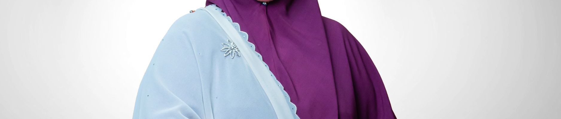 YB Dato’ Rohani Ibrahim Bawa Misi PMBI Ke Rakyat