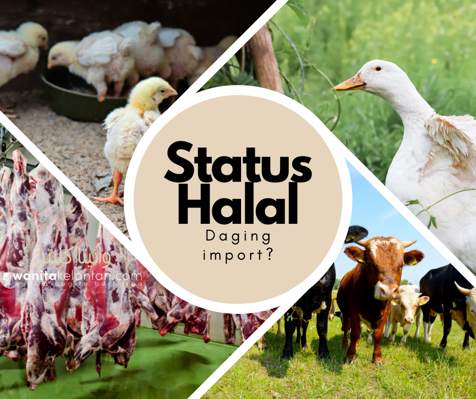 Status Halal Daging Import (1)